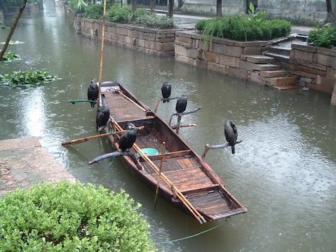 pram with cormorants